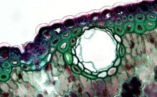 découvrez l'art délicat de la broderie, une technique traditionnelle pour embellir tissus et vêtements avec créativité et savoir-faire.