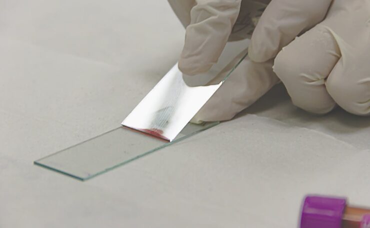 exemple d'échantillon de broderie pour tester les motifs et la qualité avant production.