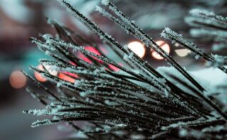 découvrez notre service professionnel de changement d'aiguille pour garantir performance et sécurité optimale.